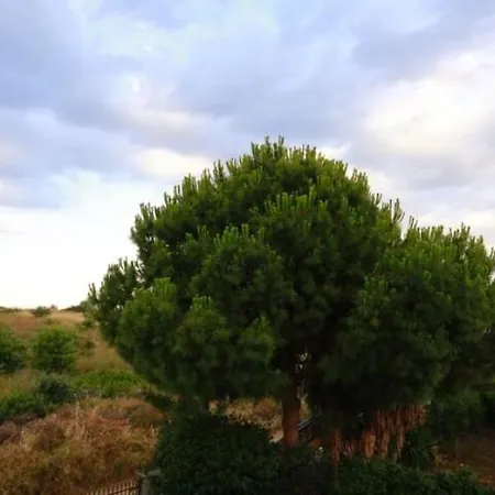 Stone Nea Potidaia Nea Poteidaia