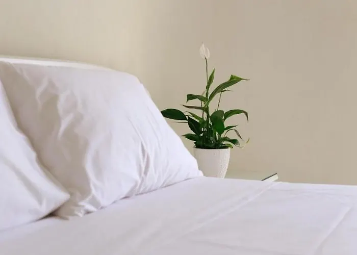 Stone Nea Potidaia *