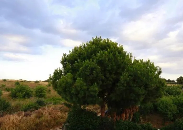 Stone Nea Potidaia Nea Poteidaia